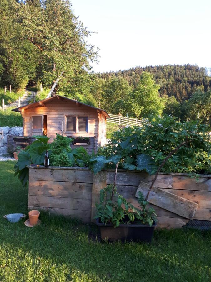 Landhaus Ziegelstadel 윈디슈가르스텐 외부 사진